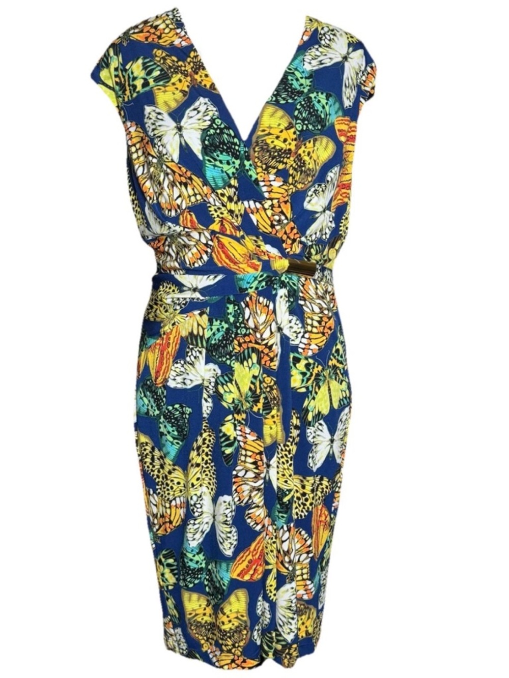 Ellen Tracy Blue Butterfly & Floral Midi Dress